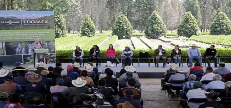 Reforestan más de 15,000 hectáreas en el Edomex