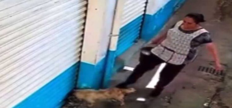 Clausuran local de mujer que golpeó a perro en Ecatepec