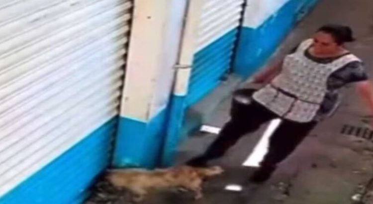 Clausuran local de mujer que golpeó a perro en Ecatepec