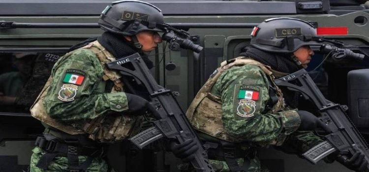 Sedena decomisó 43 kg de cocaína durante enero en Edomex Sedena decomisó 43 kg de cocaína durante enero en Edomex