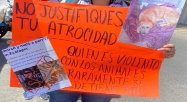 Marchan para exigir justicia por ‘Chispa’, perrita asesinada en Ecatepec