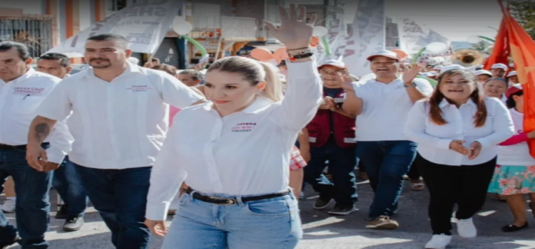 Renuncia Teresa Reyes Loza, candidata de Santo Tomás, Edomex