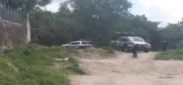 Abandonan cuerpo de una recién nacida en Ecatepec Abandonan cuerpo de una recién nacida en Ecatepec
