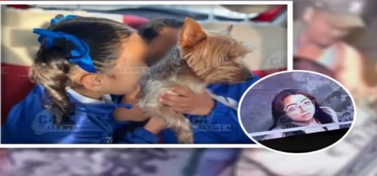 Ladrona en Ecatepec devuelve a perrito rapado tras ser expuesta en redes sociales Ladrona en Ecatepec devuelve a perrito rapado tras ser expuesta en redes sociales