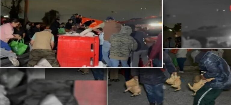 Volcadura de tráiler con 20 toneladas de pollo desata rapiña en Ecatepec