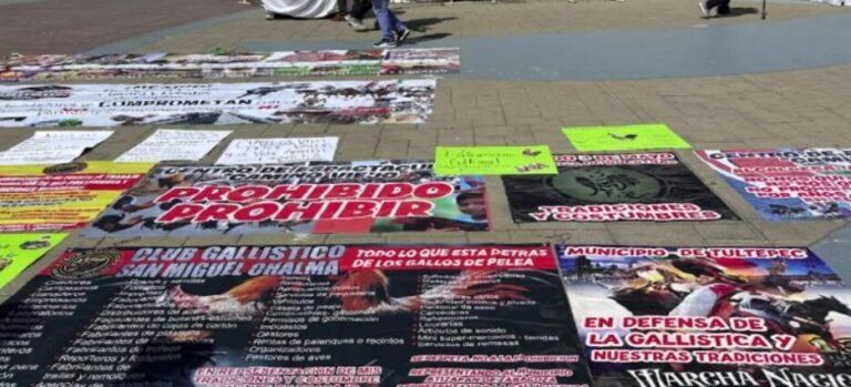 Galleros protestan ante la prohibición de peleas de gallos en Ecatepec