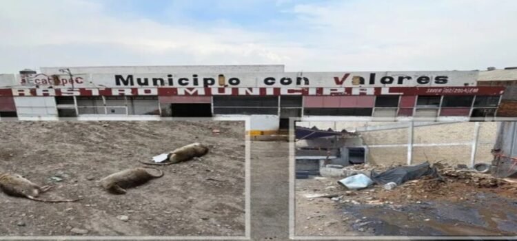 Clausuran rastro municipal de Ecatepec por insalubridad