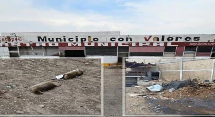 Clausuran rastro municipal de Ecatepec por insalubridad