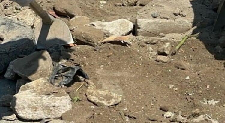 Encuentran feto en orilla del Canal de Cartagena en Ecatepec