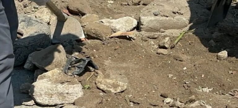 Encuentran feto en orilla del Canal de Cartagena en Ecatepec