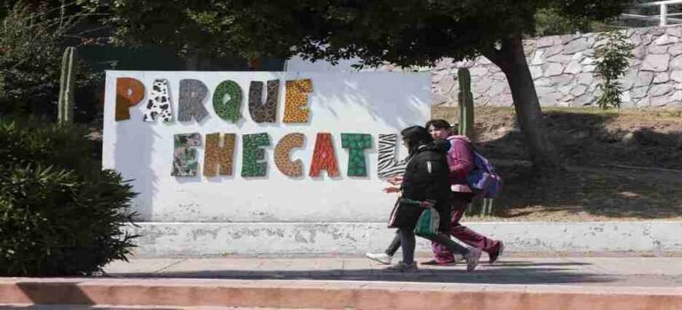 Desaparición de animales y la muerte de una jirafa exponen negligencias en el zoológico de Ecatepec