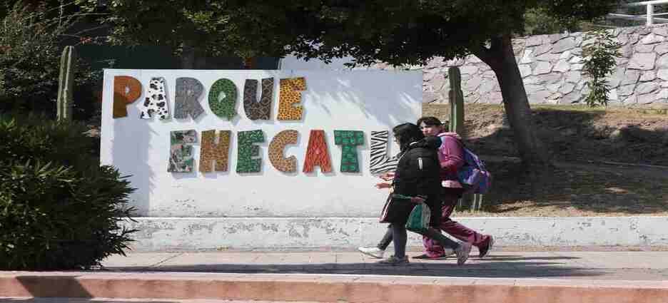 Desaparición de animales y la muerte de una jirafa exponen negligencias en el zoológico de Ecatepec