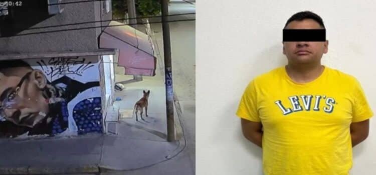 Vinculan a ex agente de la Fiscalía por desvivir a perro en Ecatepec