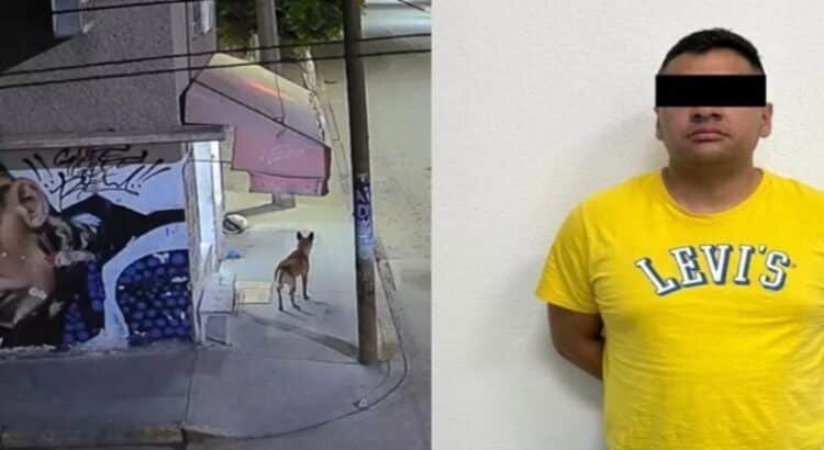 Vinculan a ex agente de la Fiscalía por desvivir a perro en Ecatepec
