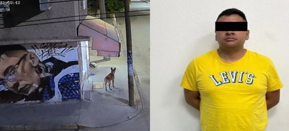 Vinculan a ex agente de la Fiscalía por desvivir a perro en Ecatepec