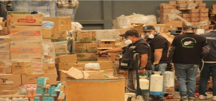 Sanitizan bodega abandonada donde reportan plaga de ratas en Ecatepec Sanitizan bodega abandonada donde reportan plaga de ratas en Ecatepec