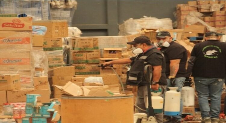 Sanitizan bodega abandonada donde reportan plaga de ratas en Ecatepec