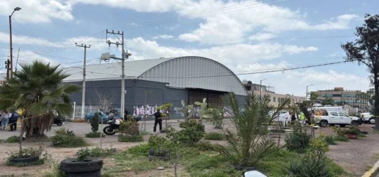 Comienzan limpieza de bodega infestada de ratas en Ecatepec