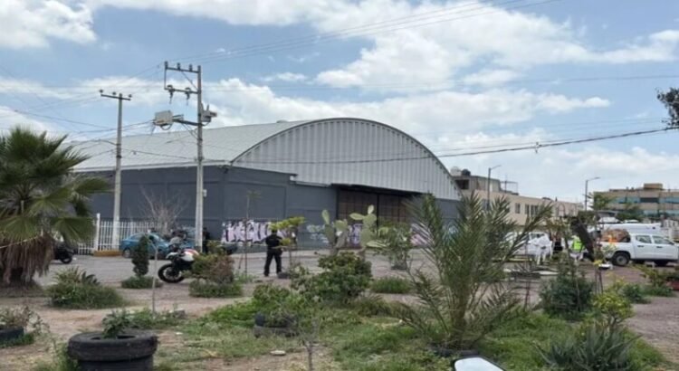 Comienzan limpieza de bodega infestada de ratas en Ecatepec