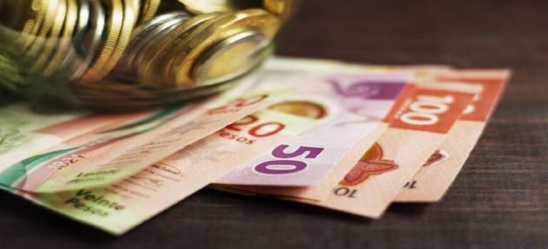 Ingreso mensual en hogares de Edomex ronda los 24,729 pesos