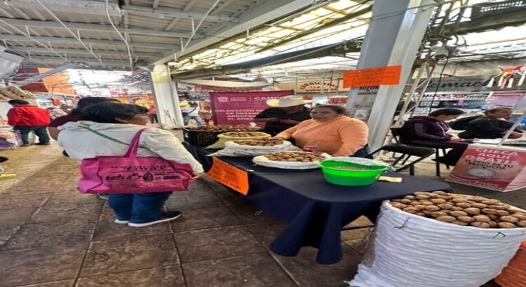 Central de Abasto de Ecatepec brindará espacios gratuitos a productores de nuez de Castilla