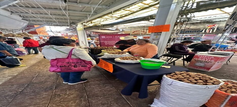 Central de Abasto de Ecatepec brindará espacios gratuitos a productores de nuez de Castilla