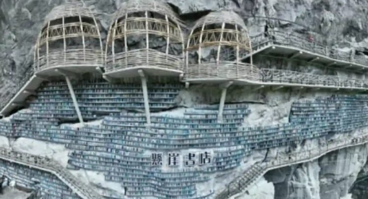 Cuando visitar la biblioteca es una actividad extrema Cuando visitar la biblioteca es una actividad extrema