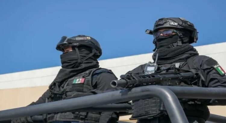 Recuperan 72 inmuebles más y detienen a 13 personas tras operativos federales en Edomex Recuperan 72 inmuebles más y detienen a 13 personas tras operativos federales en Edomex
