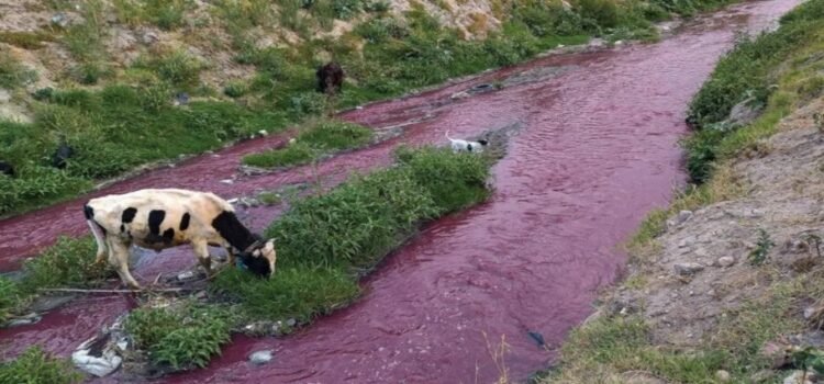 Edomex, el primero en contaminar el Rio Atoyac