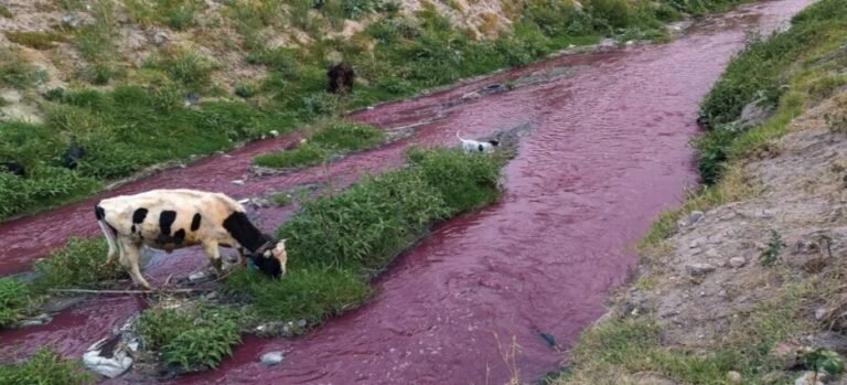 Edomex, el primero en contaminar el Rio Atoyac