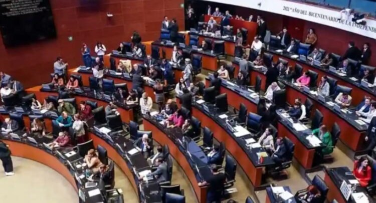 Recibe Senado minuta de ley para el acceso libre y gratuito a playas Recibe Senado minuta de ley para el acceso libre y gratuito a playas