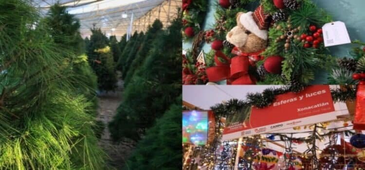 Realizan Expo Navidad 2025 en el Edomex
