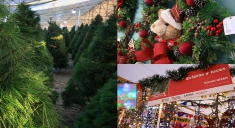 Realizan Expo Navidad 2025 en el Edomex
