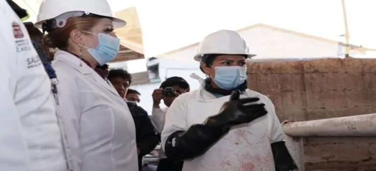 Intensifican revisiones en rastros del Edomex ante presencia de Gusano Barrenador