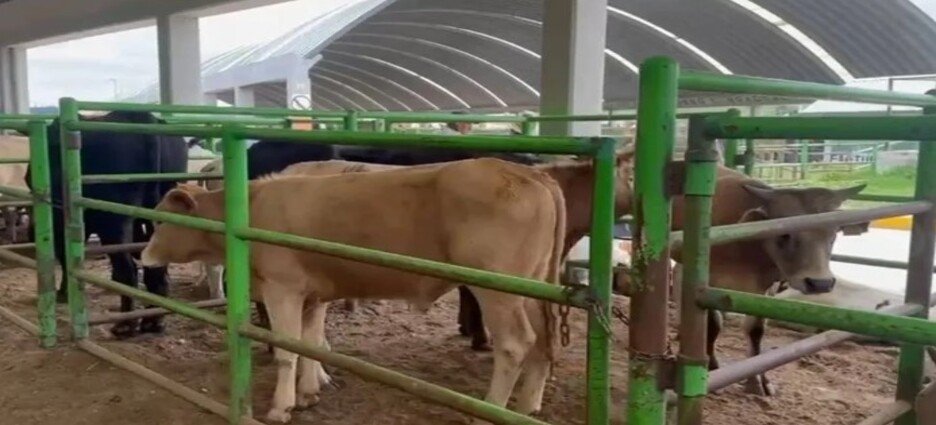 Suben a 29 los casos confirmados de Gusano Barrenador en Edomex