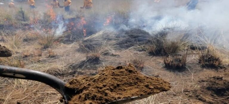 Activan programa “Mi parcela no se quema” para prevenir incendios en Edomex