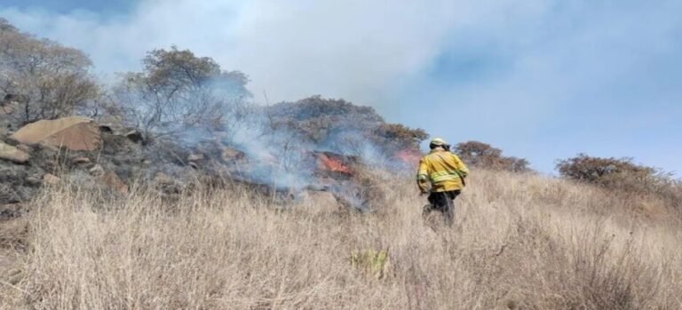 Se han suscitado 40 incendios forestales y 70 de pastizales al inicio de la temporada de calor en Edomex