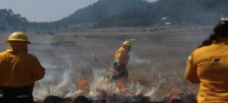 Probosque realiza quemas controladas para prevenir incendios en Edomex