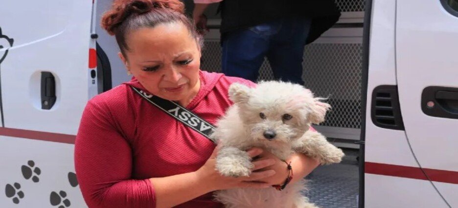 Aseguran veterinaria irregular en Ecatepec