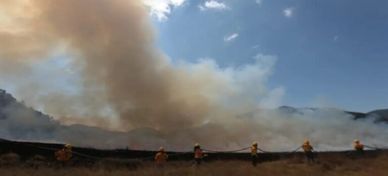 Fortalecen operativo contra incendios forestales con vigilancia estratégica y equipo en Edomex