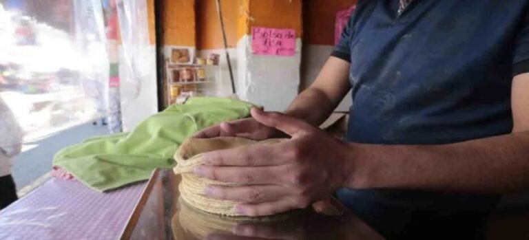 Producción de maíz pierde más de 610,000 toneladas en Edomex