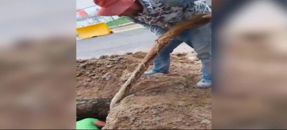 Sapase retira raíz de 21 metros de tubería en Ecatepec